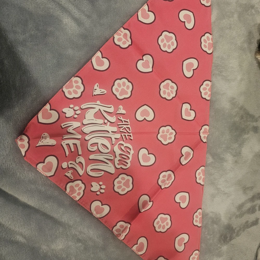 Cat Bandana with Paw Prints